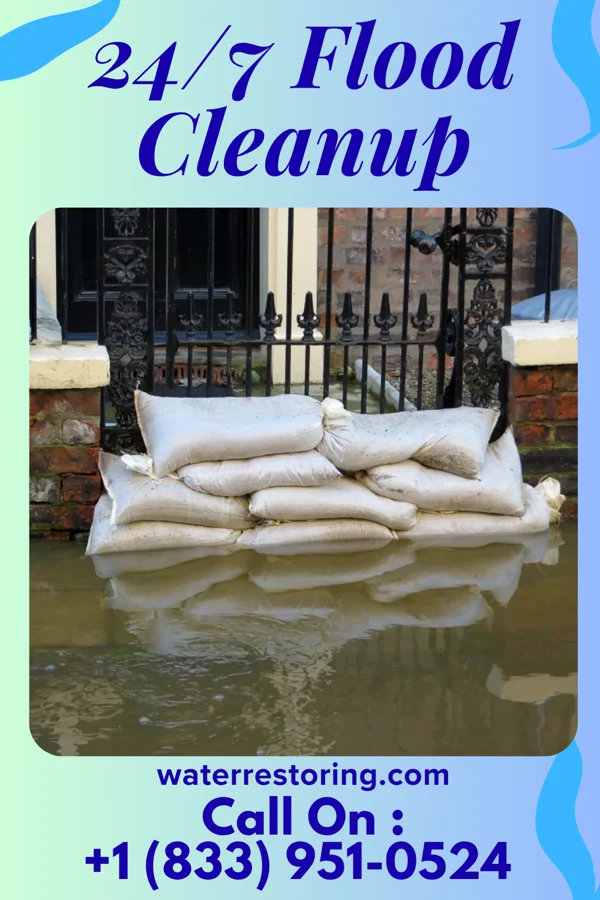 24/7 Flood Cleanup in Carbon Cliff, IL