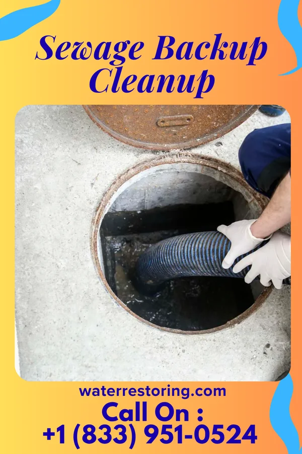 Sewage Backup Cleanup in Carbon Cliff, IL